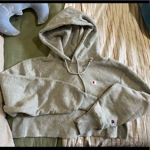 Cropped champion sweater